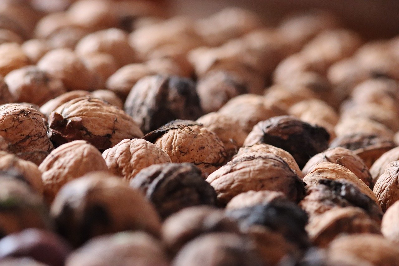 虚拟机手机卡实名实名账号：华纳娱乐平台开户条件