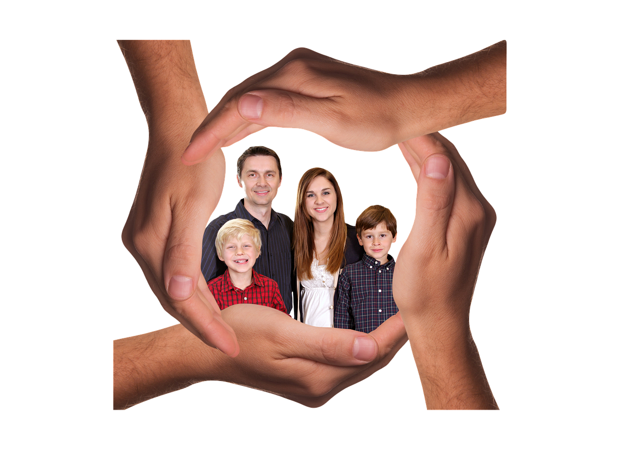 三国杀名将传：代理网课推荐平台