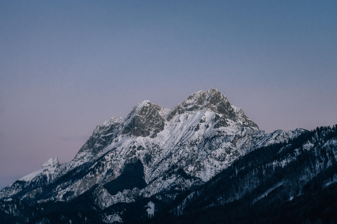 技术支持对游戏环境的影响