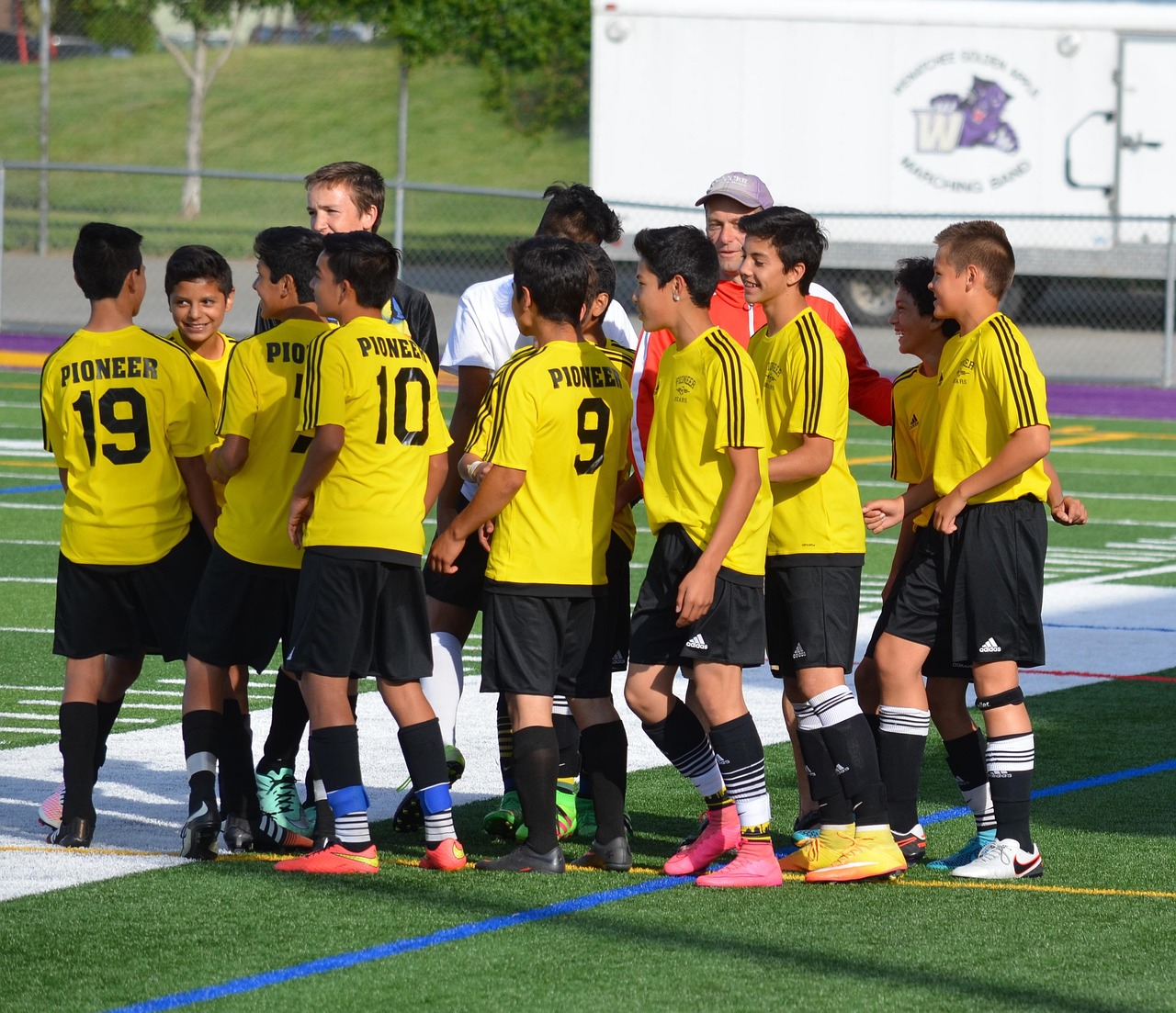 七雄纷争：购买样品的平台