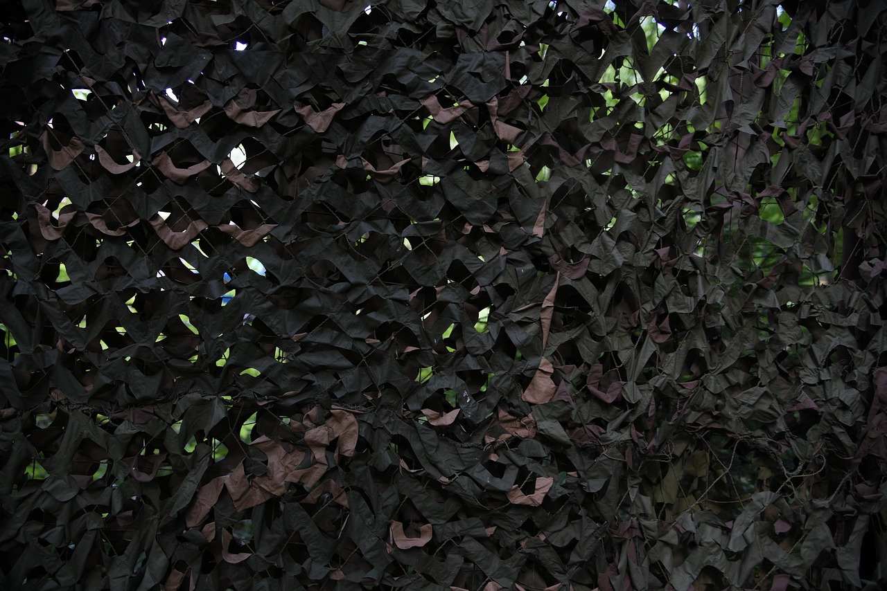 出口荷花（软）：代理注册法国公司注册公司