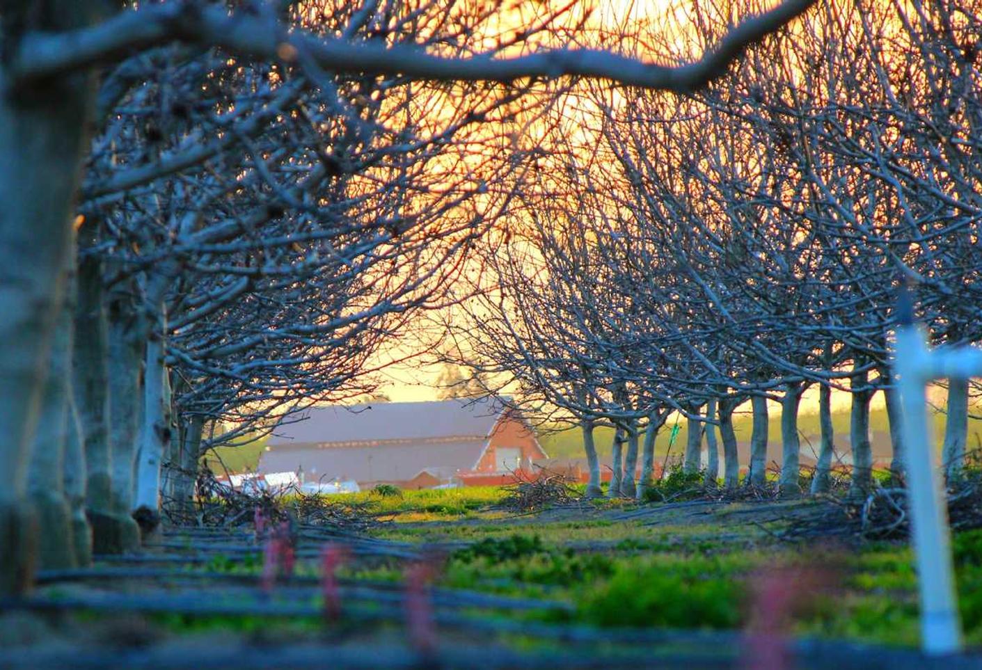 赛博朋克2077：日本外汇平台开户