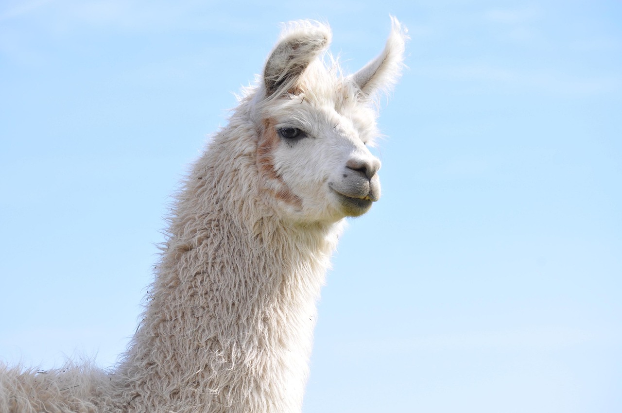 DDOS攻击教程|生死狙击端游无尽账号注册