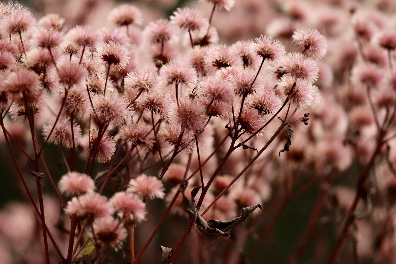 VX号交易网:姓氏APP详情下载教程