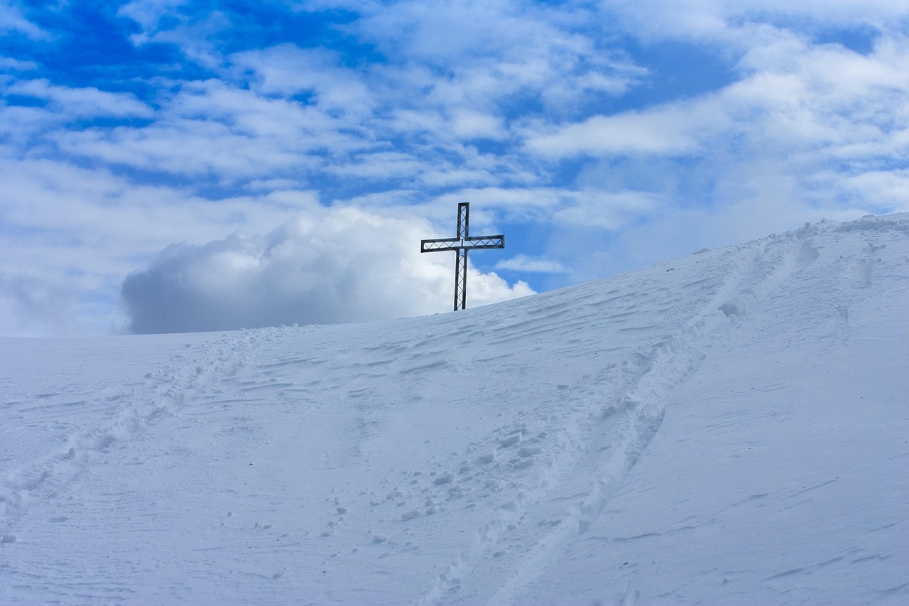无期迷途辅助- 麻蜥购买平台